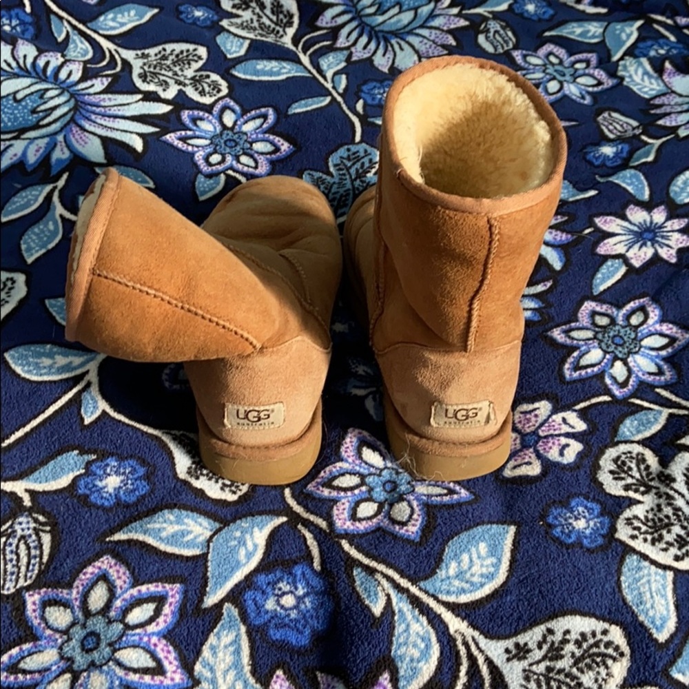 Short ugg boots